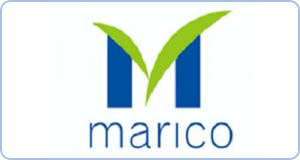 brandsImg